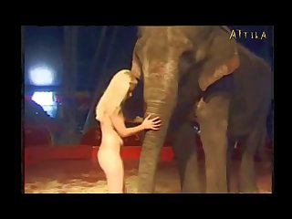 Pig Anal Zoofilia