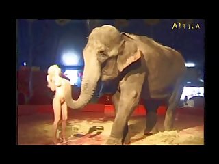 Pig Anal Zoofilia