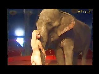 Pig Anal Zoofilia