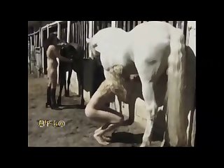 Cavalo Zoofilia