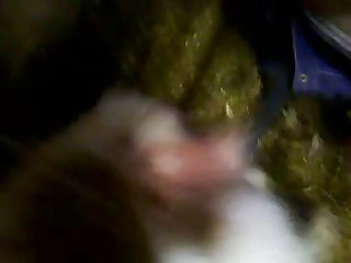 Animal Porn Extreme Cum Dump