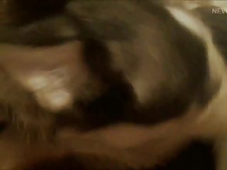 Extreme Enema Animal Porn