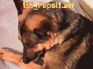 Extreme Girl Zoo Porn
