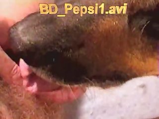 Extreme Girl Zoo Porn