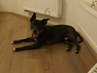 Dog Slut