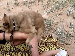 Man Cums In Animal