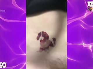 Animal Porn Gay