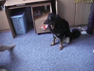Snoop Dog I Wanna Fuck You