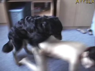 Snoop Dog I Wanna Fuck You