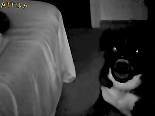 Dog Fuck Teen Bathroom