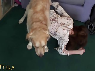 Boy Fuck Pussy Dog