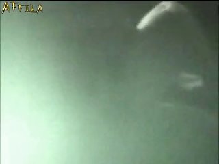 Dog Fuck Girl Live