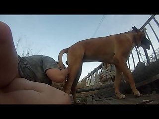 Mom And Pet Dog Fuck