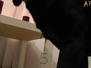 Girl Fuck Dog Videos