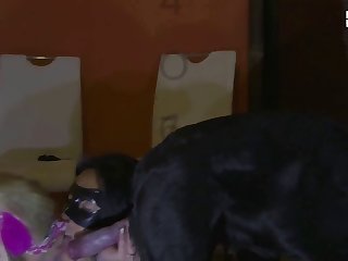 Beauty Girl Fuck Dog