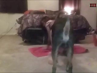 Angel Emily Dog Fuck