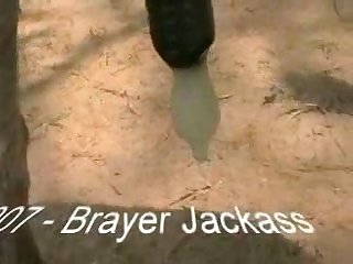 Big Dick Dog Fuck Owner