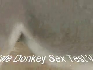 Big Dick Dog Fuck Owner
