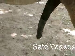 Big Dick Dog Fuck Owner