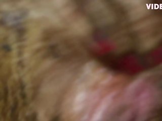 Lost Dog Fuck
