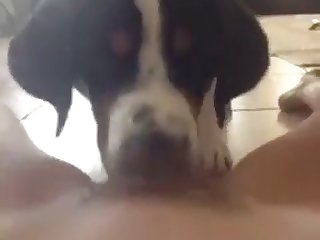Fuck Man And Dog