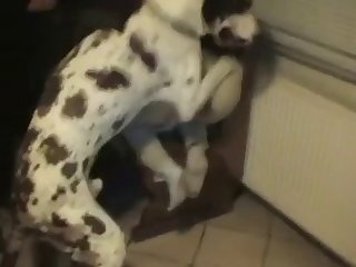 Vr Dog Fuck