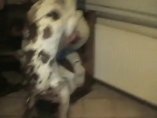 Vr Dog Fuck