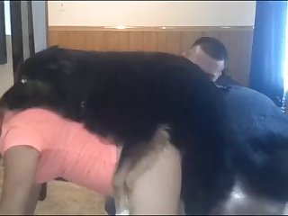 Suck Fuck Dog Horse