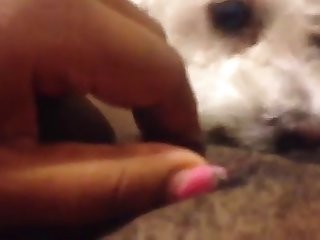 Dog Fuck Lady Xxx