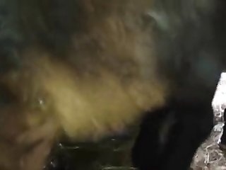 Dog Fuck Indian Woman