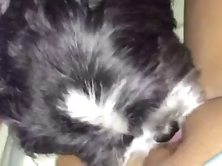 Dog Excited To Fuck Owner