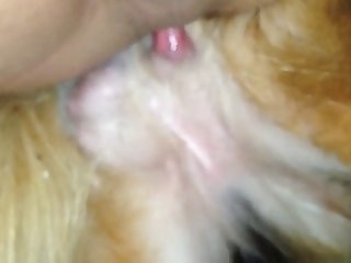 Karina Dog Fuck