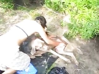 Bbw Teen Dog Fuck