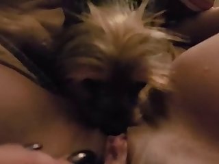 Bones Tales The Manor Dog Fuck