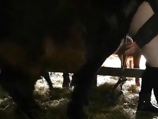 Girl Squirts From Dog Fuck