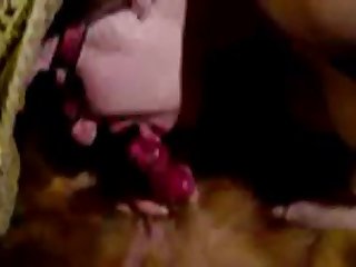 Guy Gets Fuck By Dog