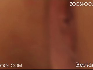 Small Dog Sex