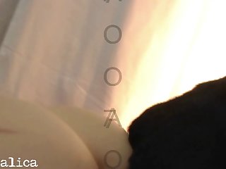 Porn Animals Free