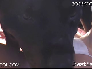 Free Hd Porn
