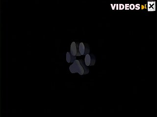 Animal Sex Spain