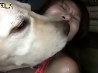Animal Sex Vifeos