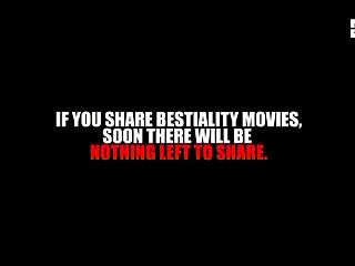 Animal Sex Stories Reddit