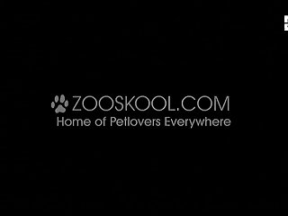 Animal Sex Stories Reddit