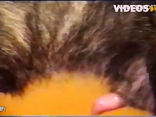 Animal Sex Move