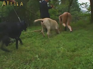 Www Animal Sex Videos Com