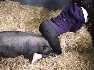Animal Can Change Sex