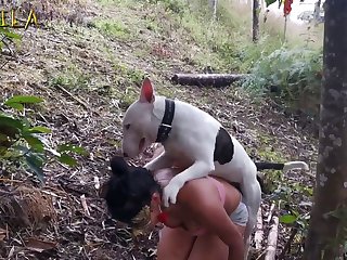 First Time Animal Sex Stories