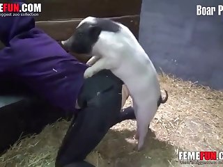 What Animal Almost Always Gives Birth To Same Sex Quadruplets