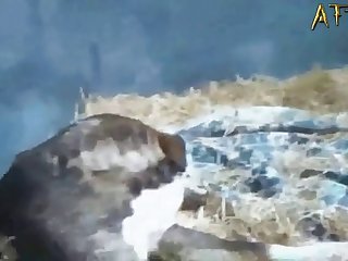 Animal Having Sex With Girls