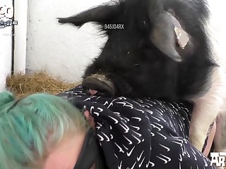 Animal Kingdom Show Sex Scenes